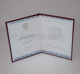 Аттестат За 11 Класс 2021г Золото ГОЗНАК в Севастополе