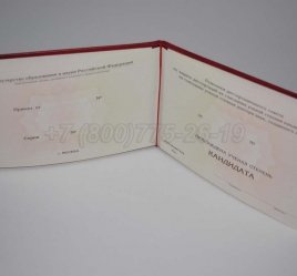 Диплом Кандидата Наук 2017г в Севастополе