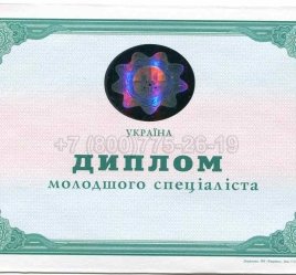 Диплом Техникума Украины 2013г в Севастополе