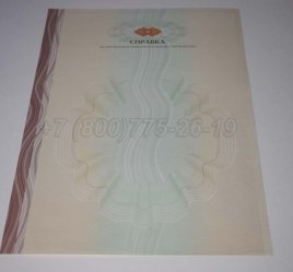 Академическая Справка ВУЗа 2023г в Севастополе