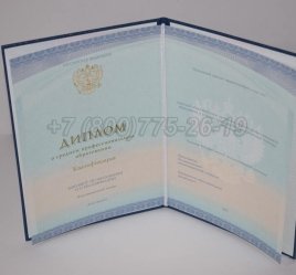 Диплом Техникума 2023г СпецБланк в Севастополе