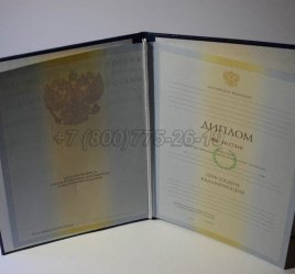 Диплом Института 2010г в Севастополе