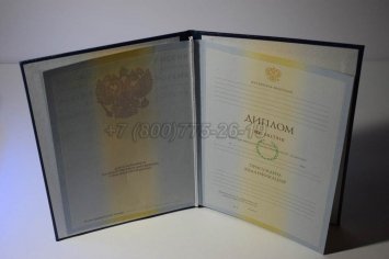 Диплом Института 2010г в Севастополе