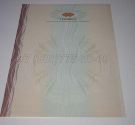 Академическая Справка ВУЗа 2019г в Севастополе