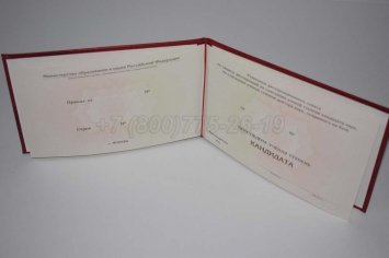 Диплом Кандидата Наук 2020г в Севастополе
