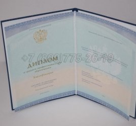 Диплом Техникума 2022г СпецБланк в Севастополе