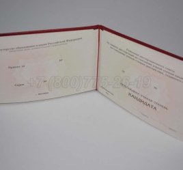Диплом Кандидата Наук 2023г в Севастополе