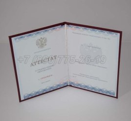 Аттестат За 11 Класс 2023г Золото ГОЗНАК в Севастополе