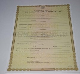 Свидетельство об Установлении Отцовства 2019г в Севастополе