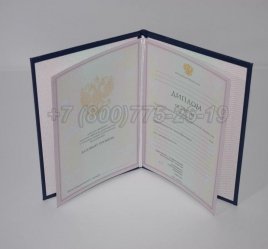 Диплом Колледжа 2007г в Севастополе