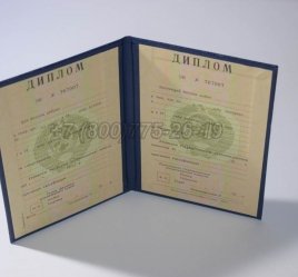 Диплом о Высшем Образовании Украинской ССР в Севастополе